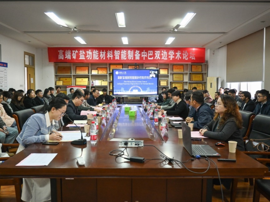 公司成功举办高端矿盐功能材料智能制备中巴双边学术论坛